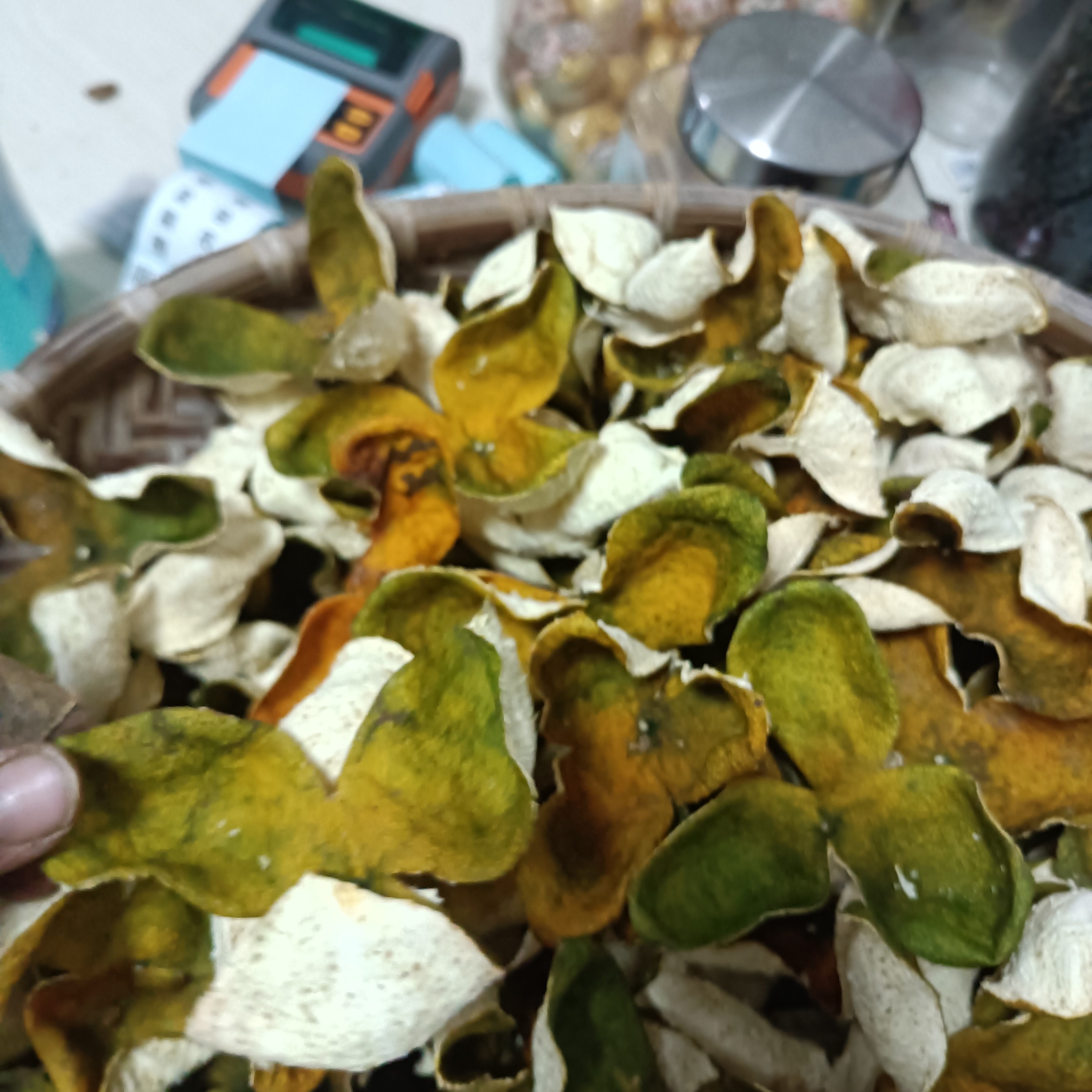 2025年天马圈枝中果晒的二红皮