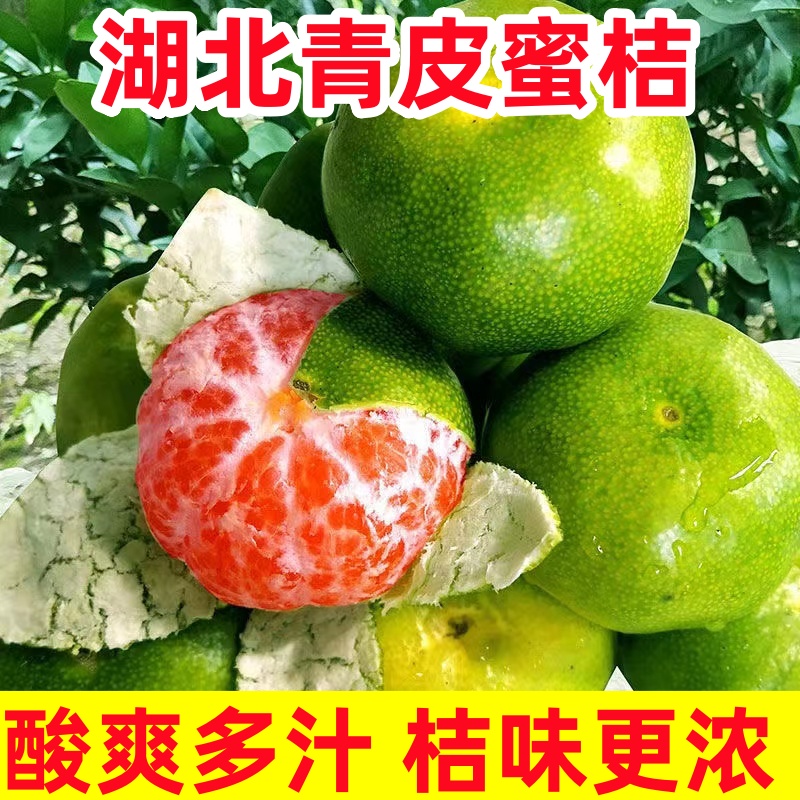 【高山蜜桔】新鲜现摘青皮蜜桔无籽薄皮酸甜多汁爽口应季水果