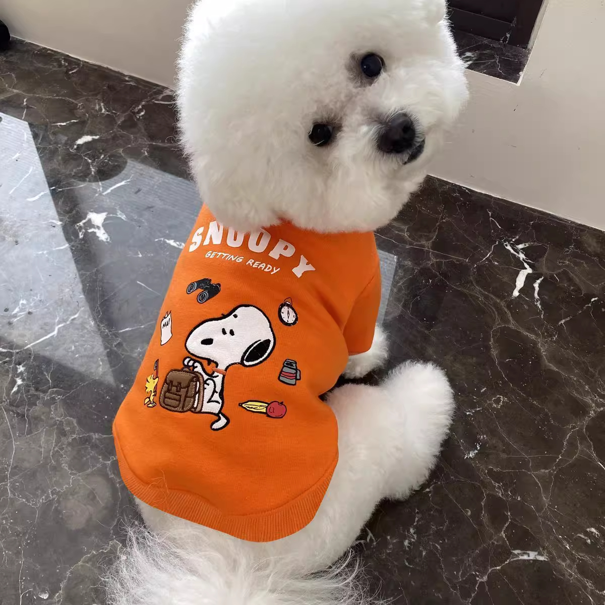 早秋冬季新款宠物猫狗可爱比熊雪纳瑞博美泰迪保暖小型犬卫衣