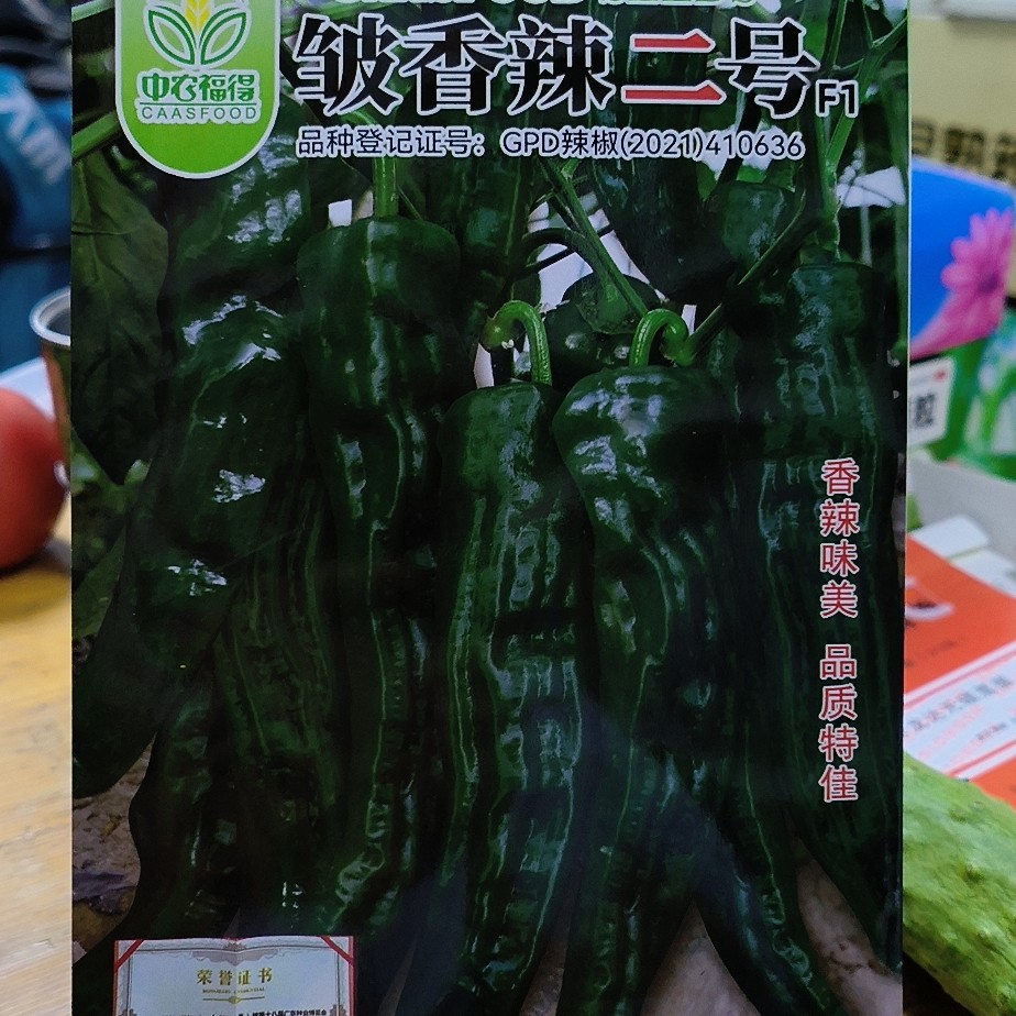 薄皮小皱皮辣椒香辣二号辣椒种子