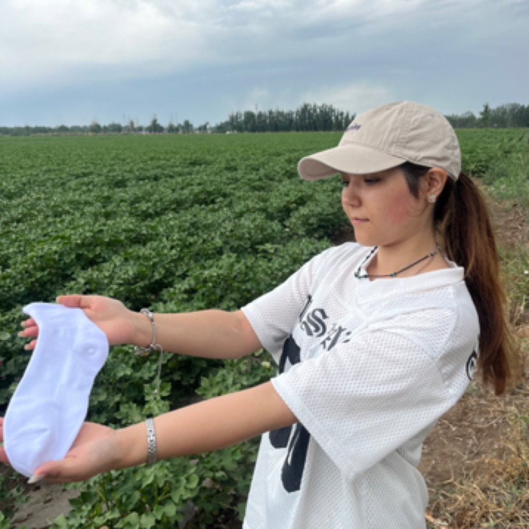 【新疆棉袜子】中筒吸湿排汗脚不臭保暖运动冬季常规耐磨中筒袜秋冬