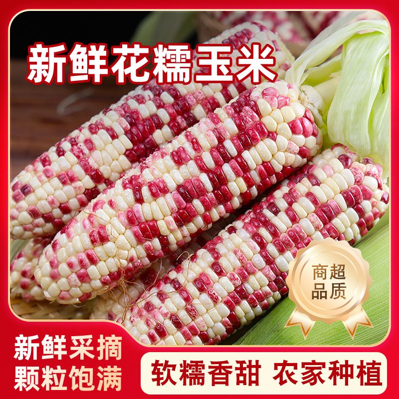 【软糯香甜】正宗广西新鲜花糯玉米现摘现发甜糯代餐带皮精品苞米