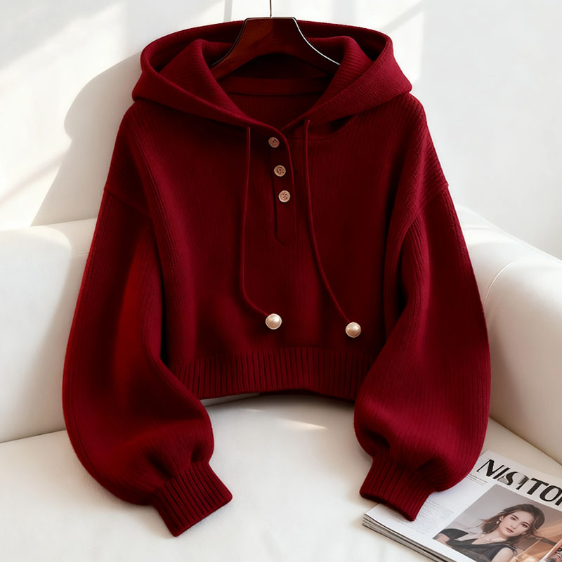 小众别致红色连帽抽绳纯色卫衣秋季韩系慵懒风时尚洋气舒适打底衫