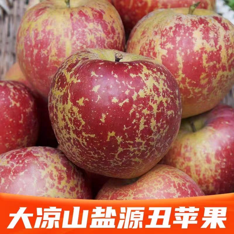 四川大凉山盐源丑苹果新鲜现摘酥脆香甜当季水果Z3