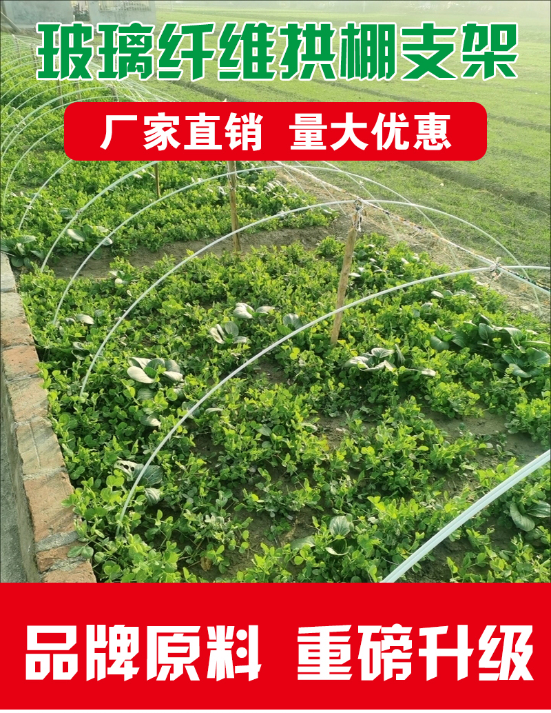 玻璃纤维拱棚支架用于蔬菜种植遮阳保温育苗