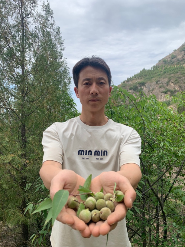 深山新货山桃核毛桃核种子手串工艺品雕刻原料颈椎枕拍打袋填充