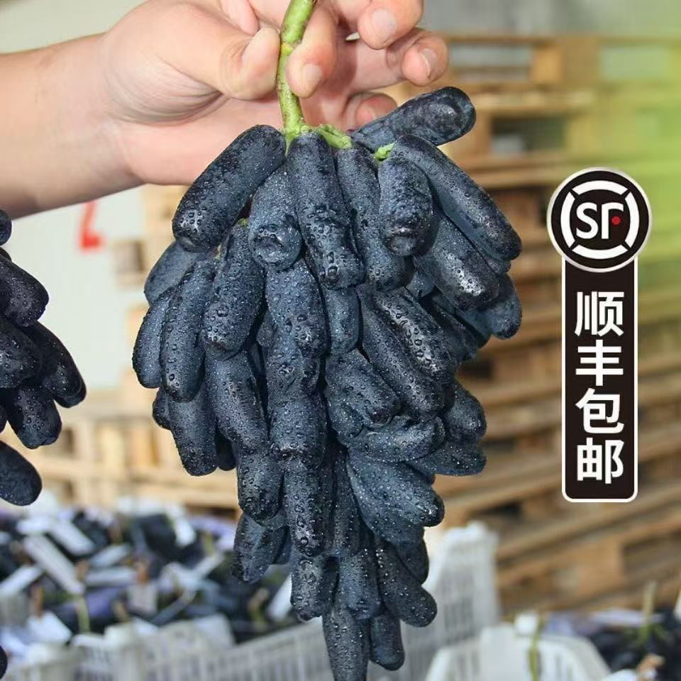 【顺丰包邮】蓝宝石葡萄当季饱满多汁应季水果