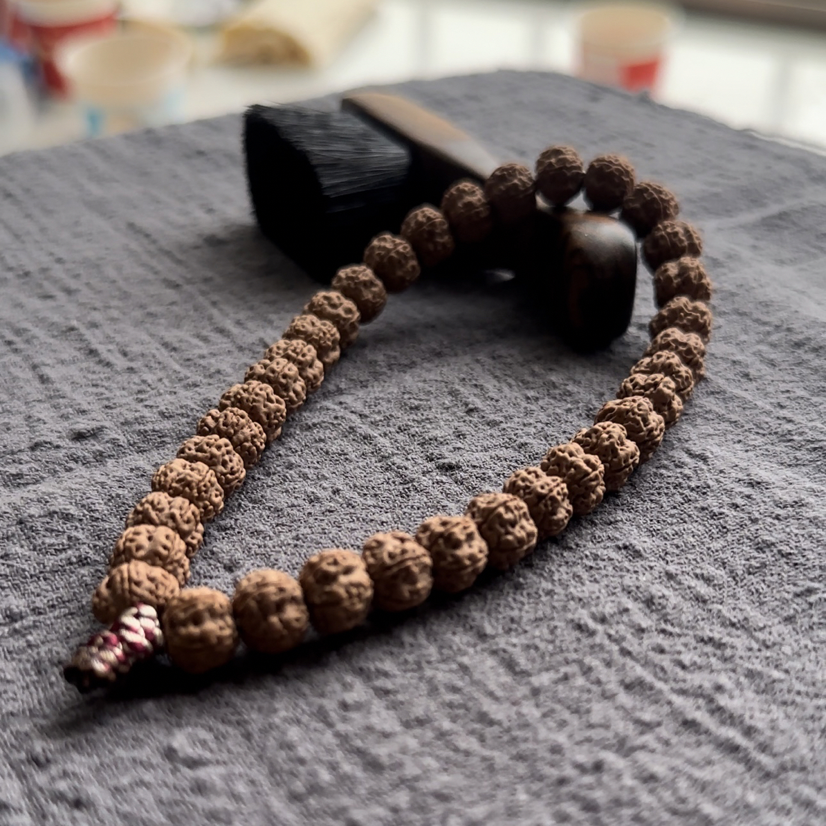 老树梅花｜原生态梅花小金刚菩提