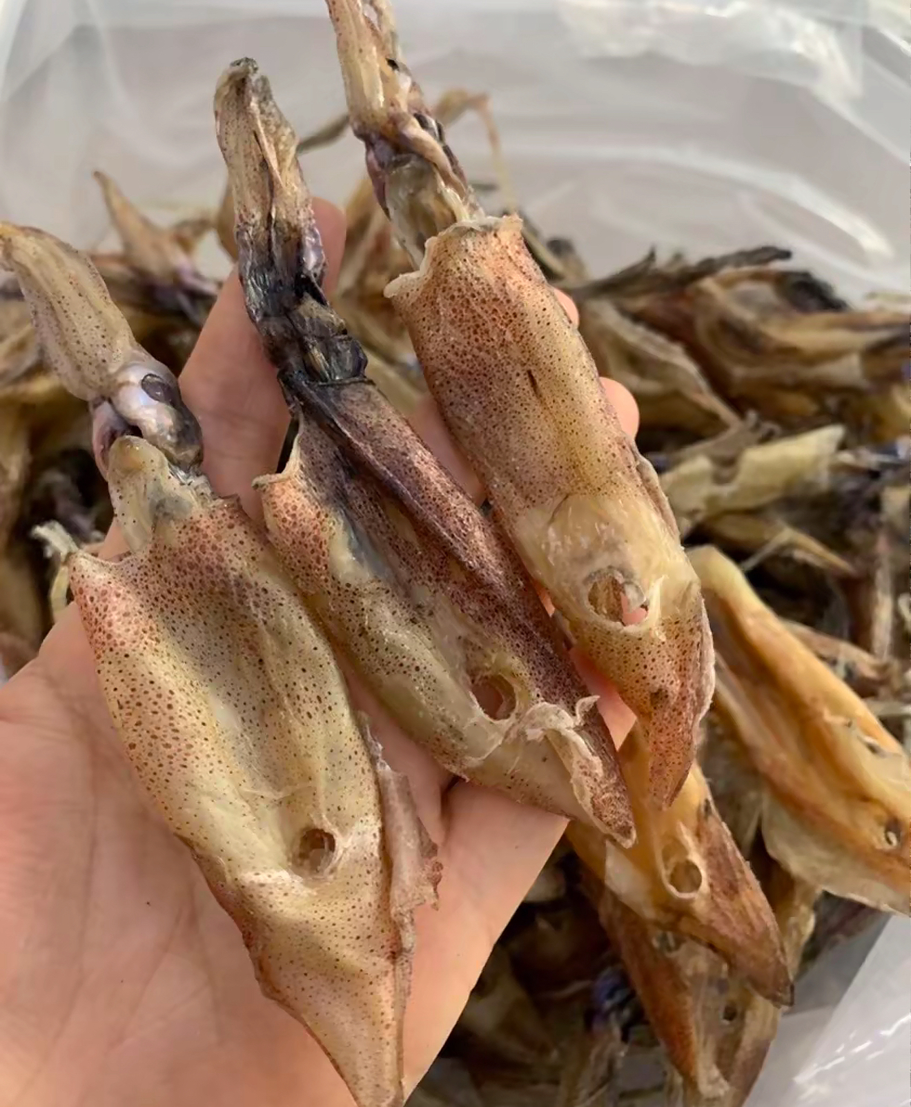 电白船晒鱿鱼筒海产品干货味道鲜美爽脆可炒煮焖煎