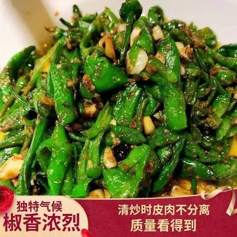 【微辣】正宗樟树薄皮青椒新鲜富晒椒湖南品种农家种植虎皮辣椒