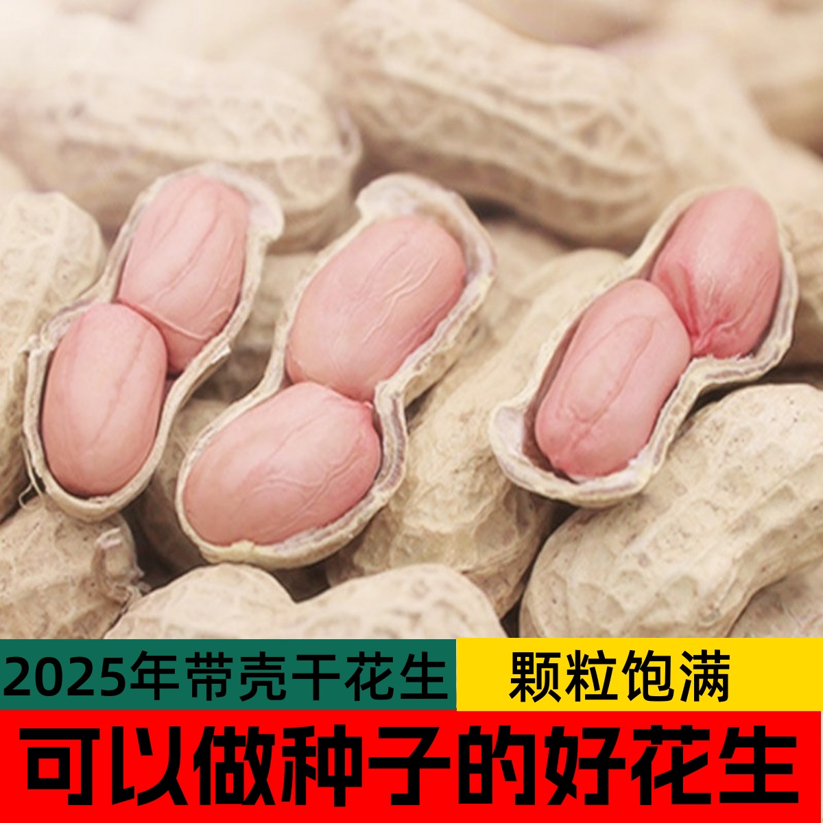 湖南仙龙潭村高山助农2025新鲜晒干带壳生花生手剥花生米粉皮大粒