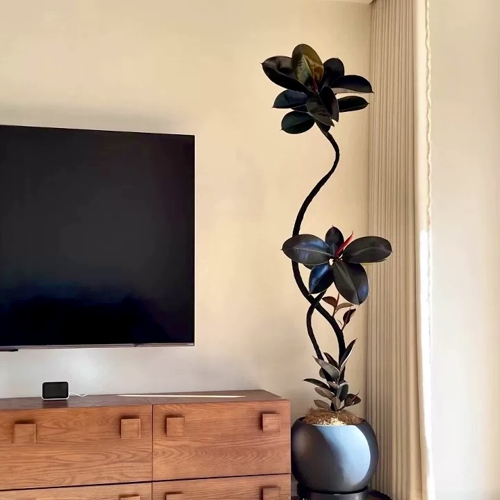 高端轻奢仿真绿植黑金刚橡皮树室内客厅落地高级感摆件装饰品假树