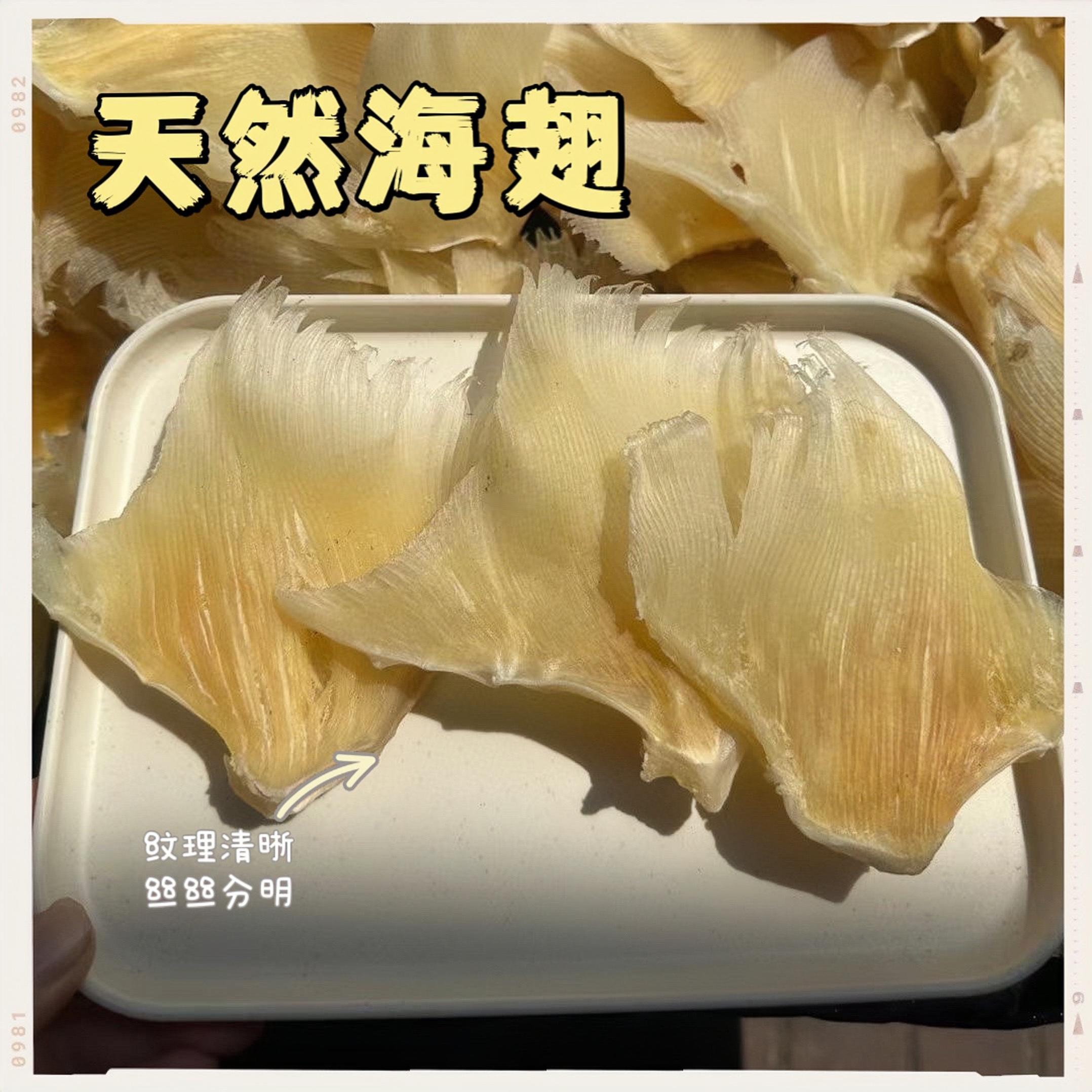 狗仔刺 浦鱼软骨翅 深海大号海翅 海狗刺 天星刺煲汤食材海产干货