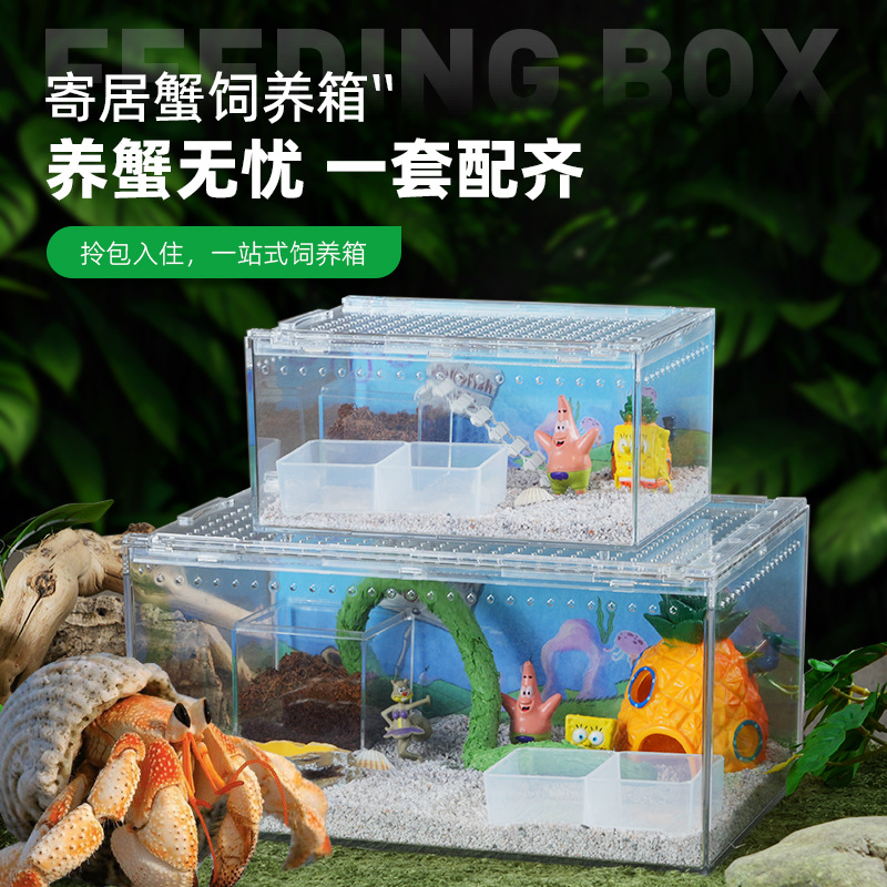 寄居蟹亚克力生态缸高透光新手进阶饲养箱造景亲子玩具塑料猫粮