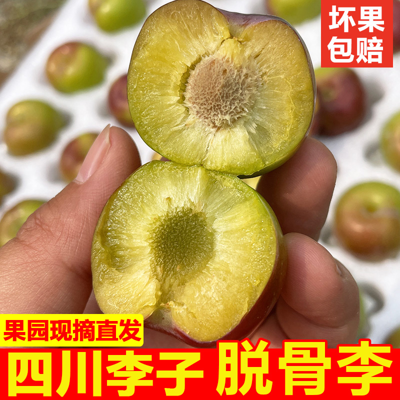 【精选果】X四川脱骨李半边红茵红李果园现摘现发新鲜水果应季李子