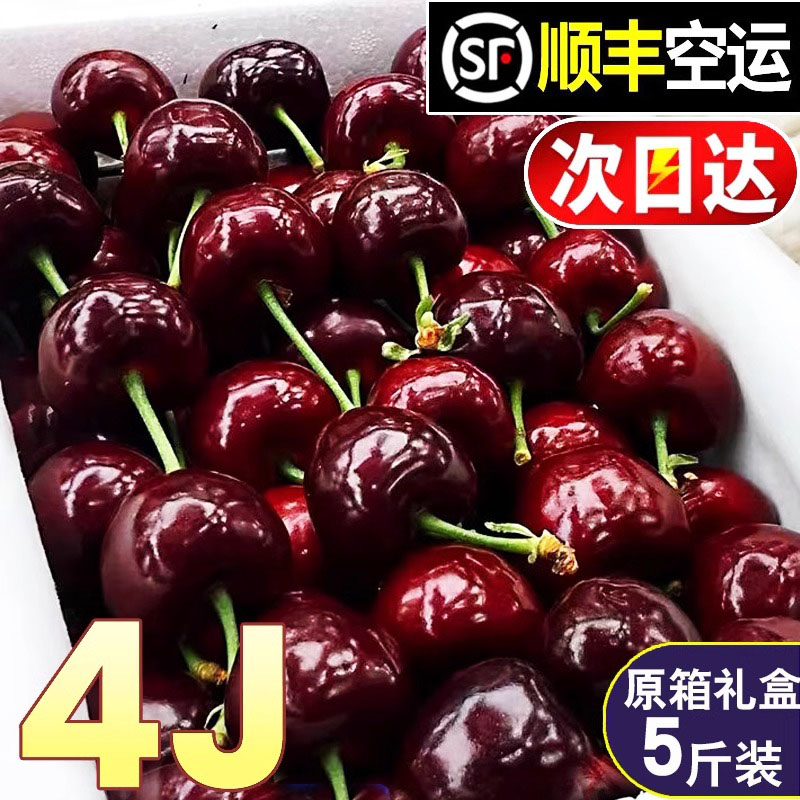 巨大果王原箱智利车厘子桑提娜送礼海运J-5J 1.8-5斤内附果径卡