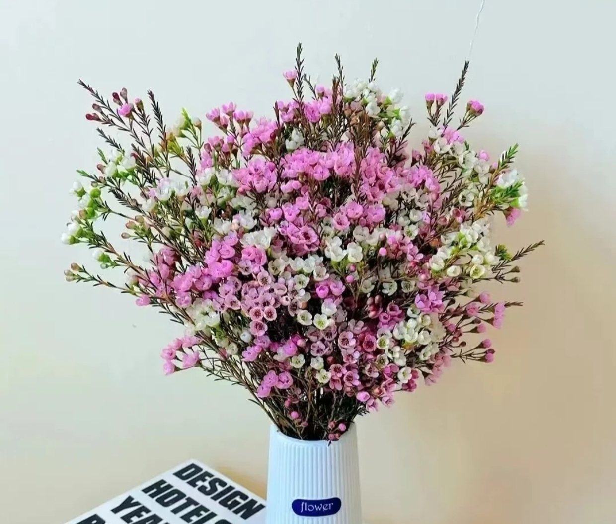 【澳洲腊梅】云南基地直发吸色腊梅客厅鲜切花室内水养花卉年宵节日