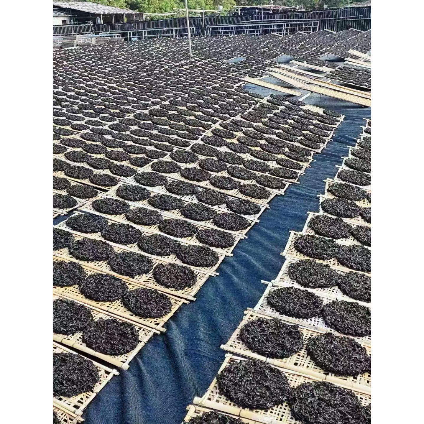 头水紫菜手工日晒免洗无沙翠绿脆甜潮汕南澳特产干货可煮汤即食