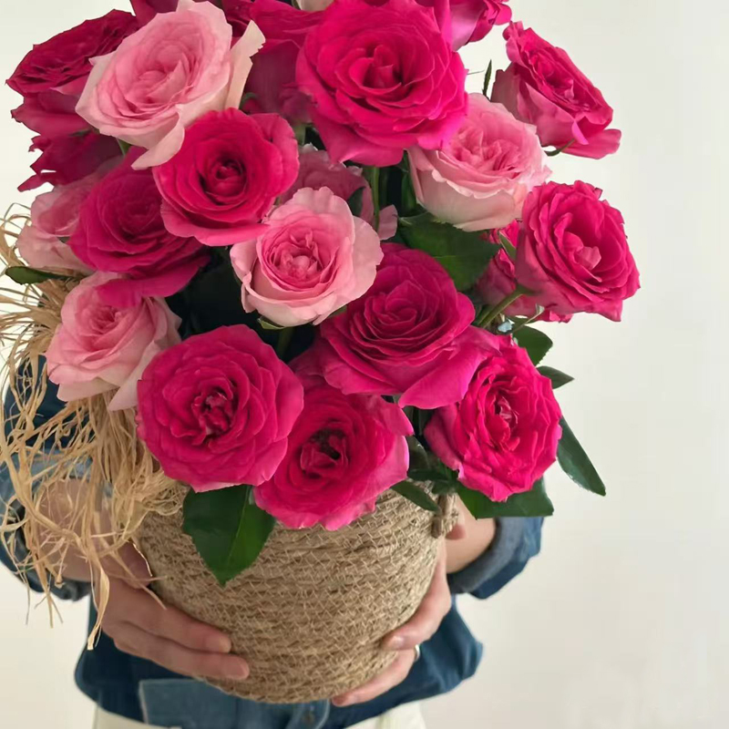 【玫瑰组合】单头玫瑰多头泡泡鲜花花束云南昆明基地直发家用水养花