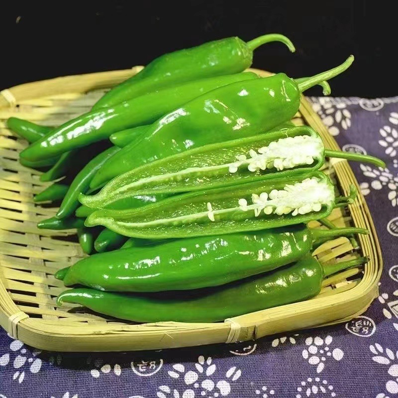 软皮香辣型辣椒湖南品种香研软香辣辣椒新鲜尖椒新鲜辣椒青辣椒