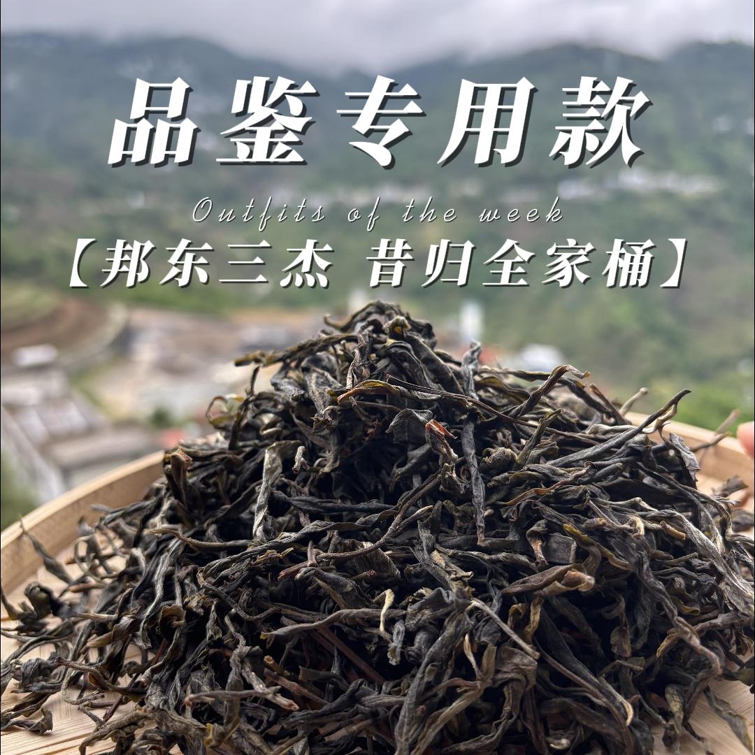 新茶友品鉴装：喝真、喝纯、喝生态{老冯的普洱茶}