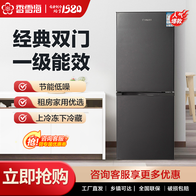 206升大容量双门电冰箱家用冷藏冷冻冰箱出租房宿舍立式-小型冰箱