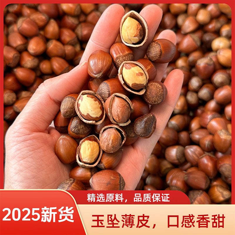 东北开原特产薄皮玉坠原味大果榛子现炒现卖坚果炒货