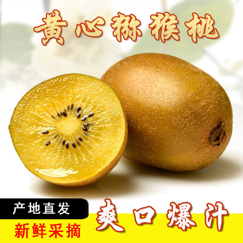 黄金奇异果黄心猕猴桃金密奇异果当季新鲜黄心猕猴桃软糯香甜