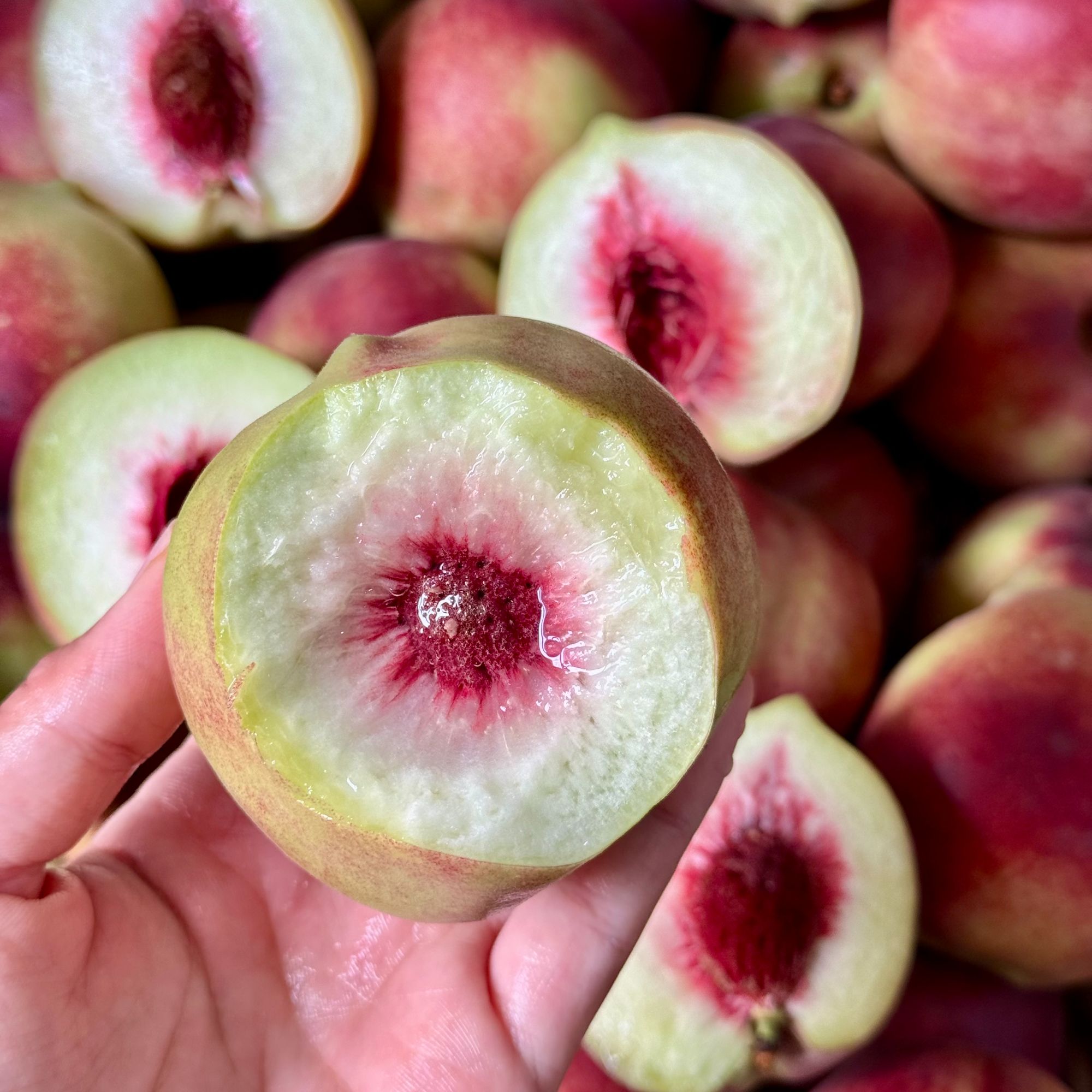 【脆甜多汁】正宗山东蒙阴冬雪水蜜桃新鲜应季水果桃子 5斤 