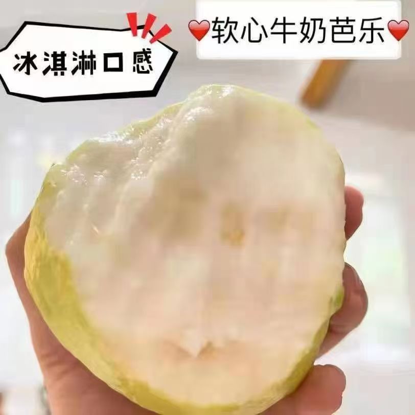 白心当季秋冬软心水果番石榴正宗软糯奶油香甜芭乐新鲜产地直发