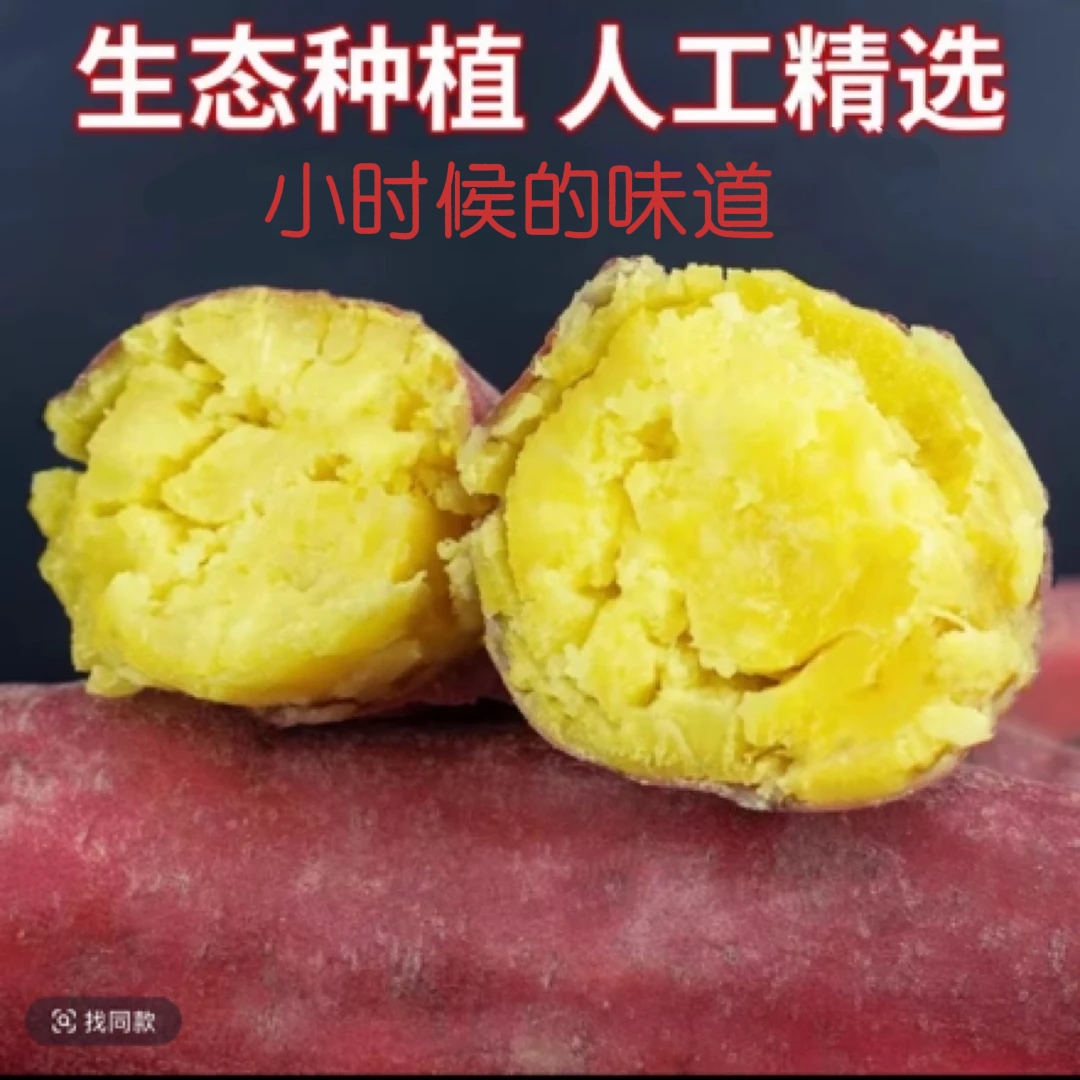【买3斤送2斤到手5斤】新鲜现挖红薯软糯香甜的板傈红薯a2