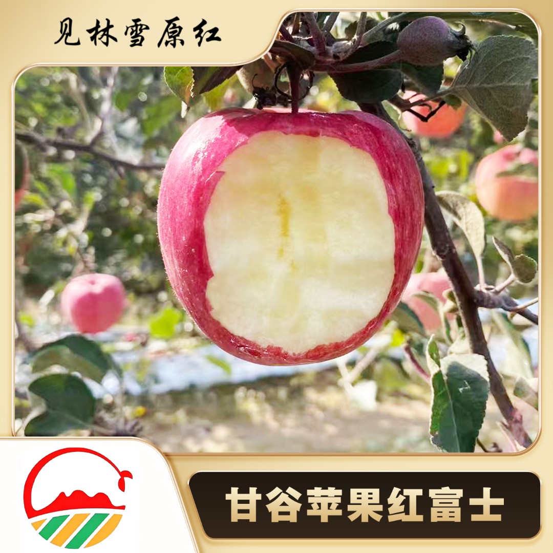 【有机认证】正宗高山富士苹果脆甜多汁现摘现发甘肃天水顺丰包邮