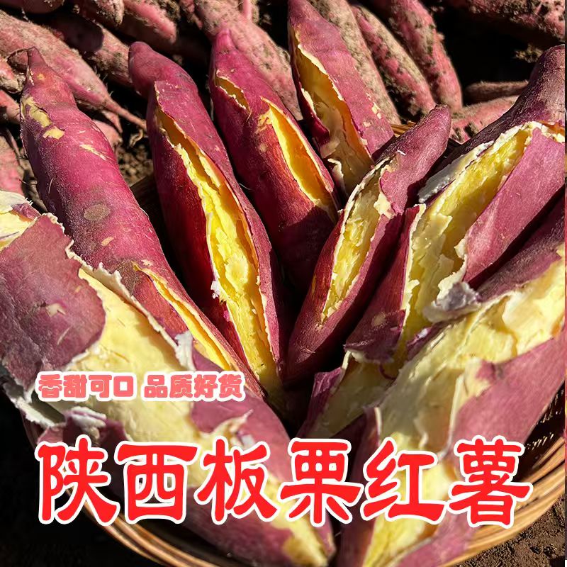 【3斤送2斤】陕西沙地粉糯板栗红薯番薯农家自种美味香甜地瓜