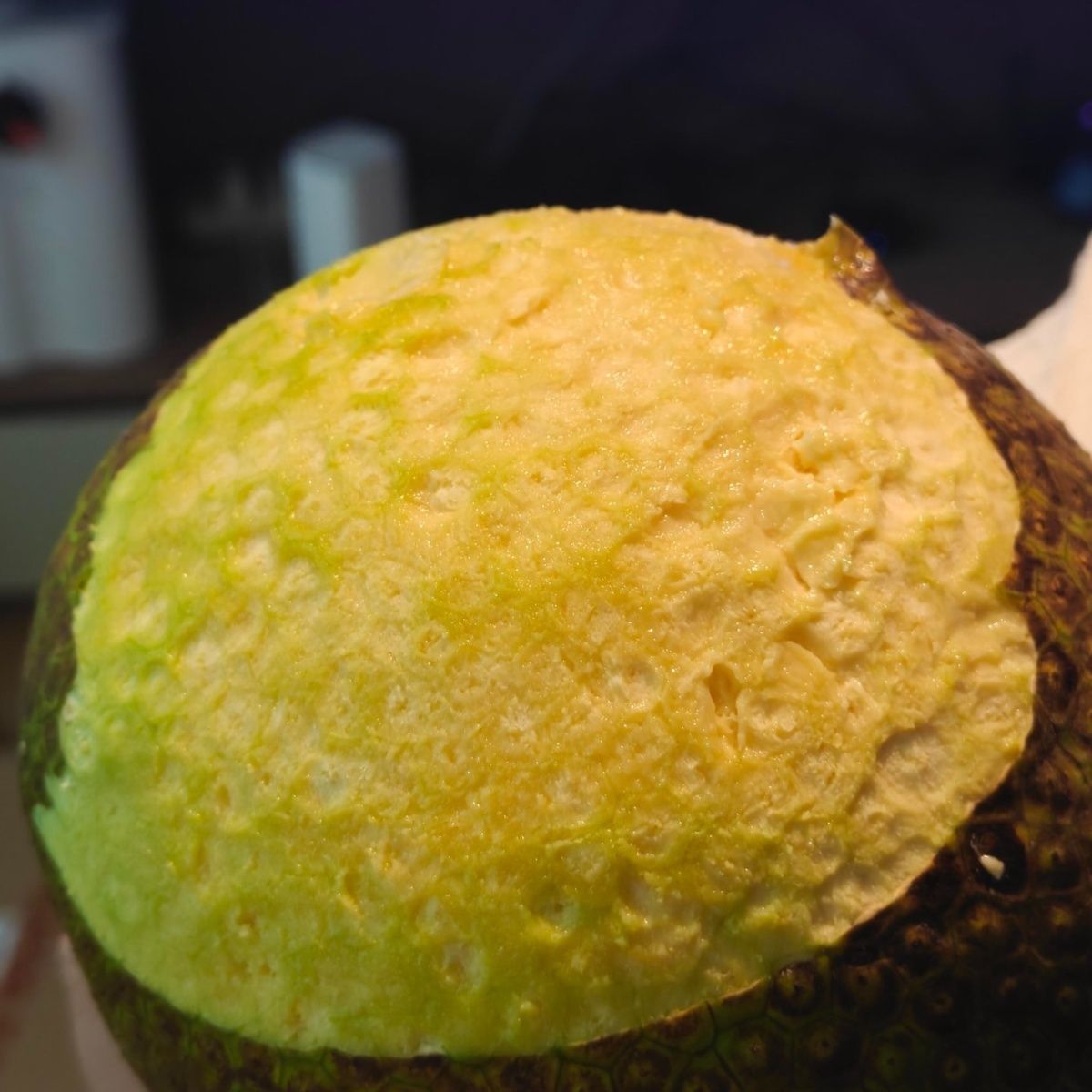 自家果园种植的面包果,现摘现卖!果重1.3-2斤左右随机发货爆款