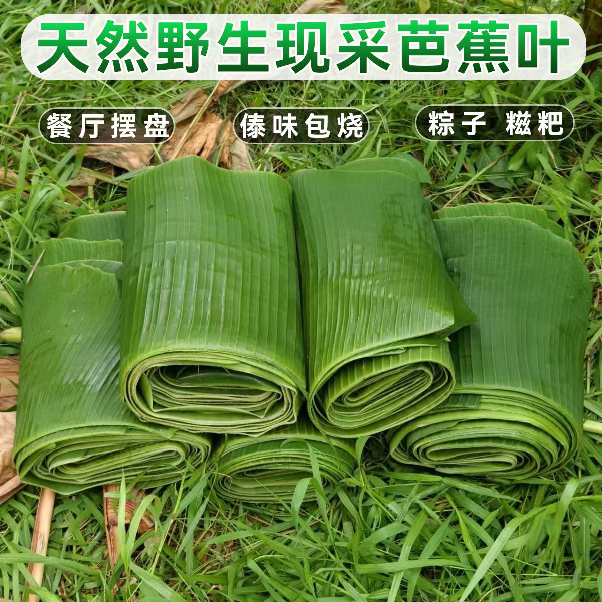 广西野生新鲜芭蕉叶香蕉叶做糍粑糕点泰式包烧摆盘纯天然绿色产品