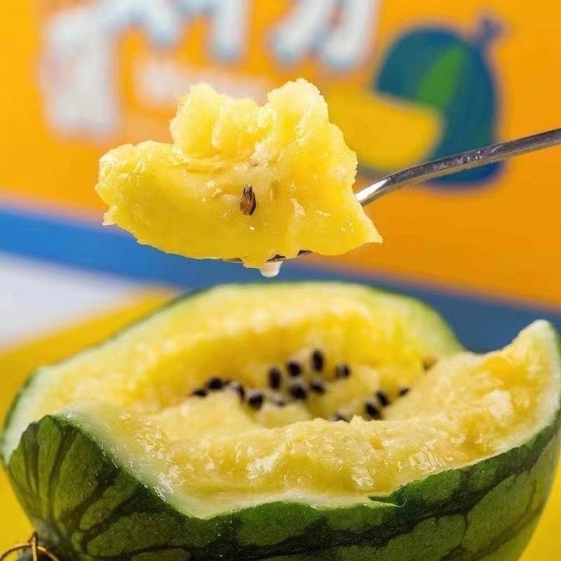 现摘特小凤西瓜东台西瓜冰淇淋西瓜水果当季黄心黄肉应季整箱皮薄