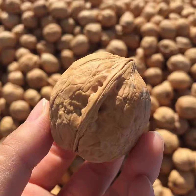 新疆阿克苏纸皮核桃手捏即开薄皮饱满营养美味