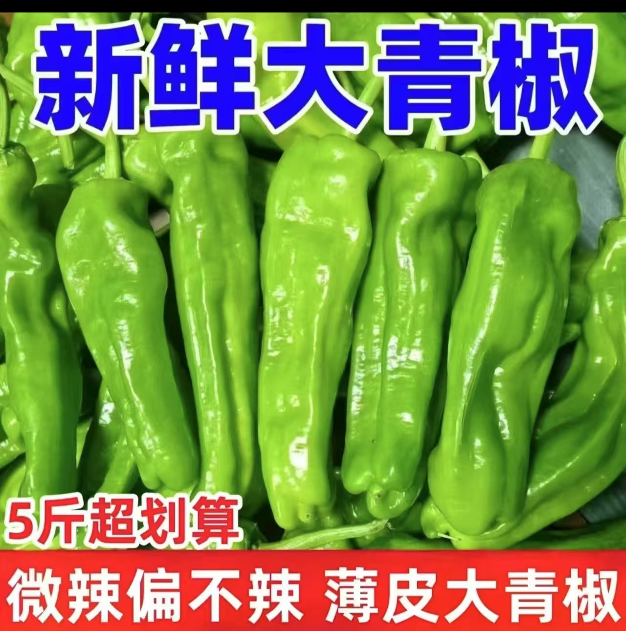 现摘现发]农家自种薄皮大辣椒虎皮椒微辣不辣发中通生鲜