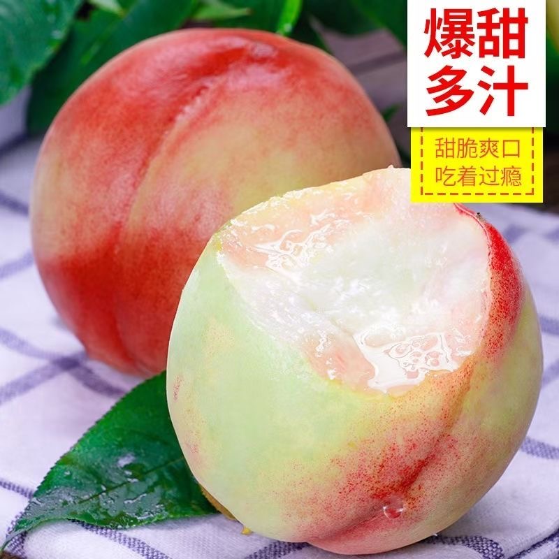 【脆蜜桃】山西运城红不软脆甜当季新鲜水果现摘毛桃子脆甜多汁