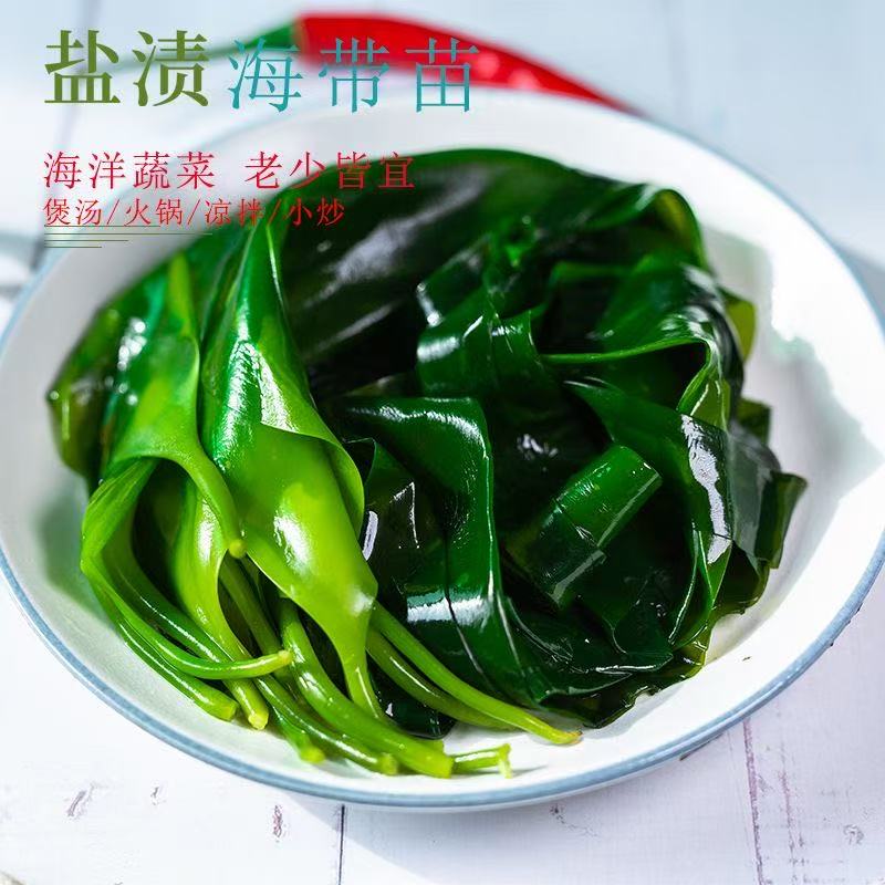 福建莆田南日岛海带嫩苗