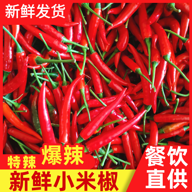 特辣爆辣正宗小米椒特辣爆辣新鲜小米辣椒椒剁椒泡椒朝天椒