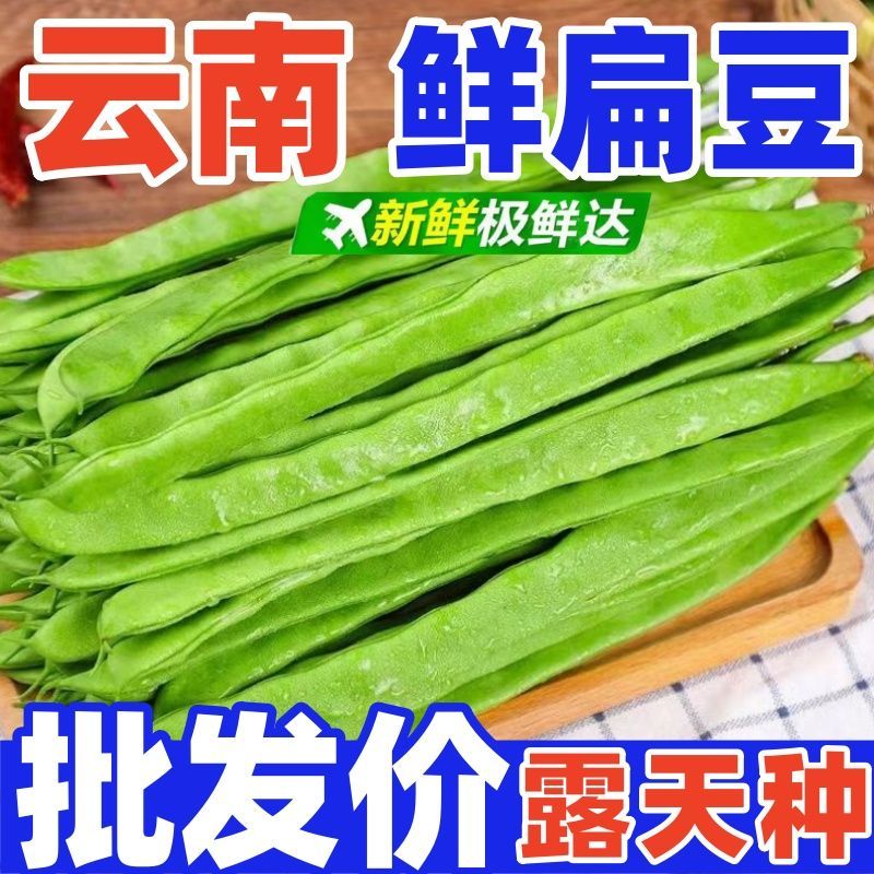 云南高山露天新鲜扁豆芸豆应季蔬菜(现摘现发箱)