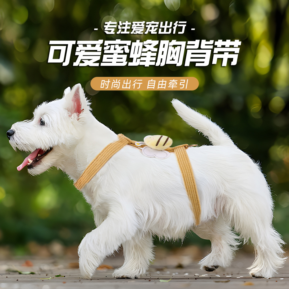 猫咪牵引绳 防挣脱外出专用小蜜蜂牵引绳小型犬可爱风狗狗胸背带