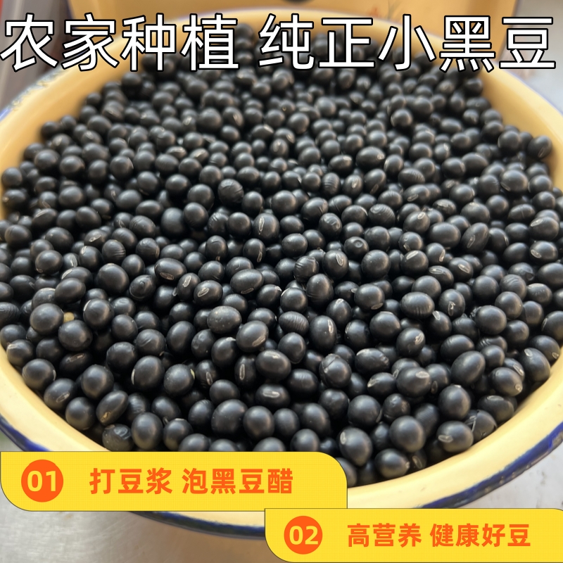 东北生黑豆农家新货小黑豆非转基因黄心可生豆芽打豆浆煲汤煮水喝