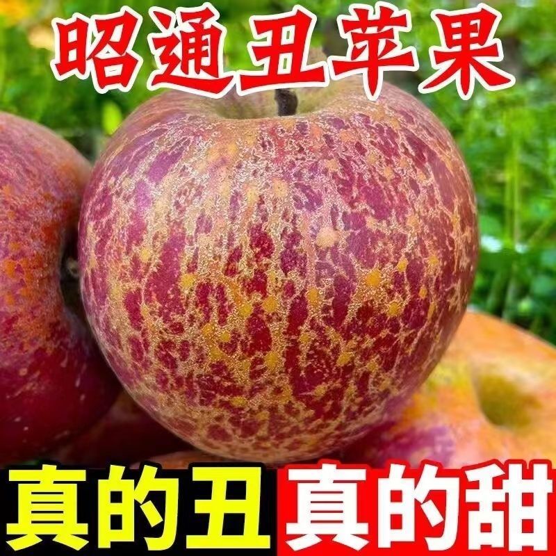 云南昭通高原冰糖心丑苹果新鲜现摘脆甜多汁当季水果