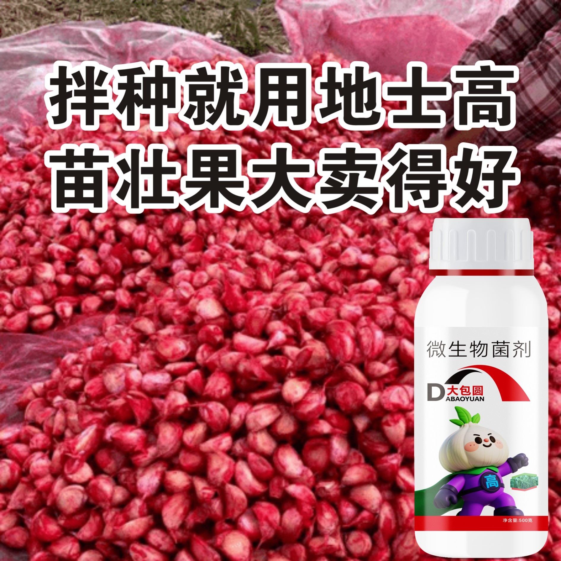 地士高大蒜拌种生根壮苗提高出芽率苗齐苗壮防根腐提质增产