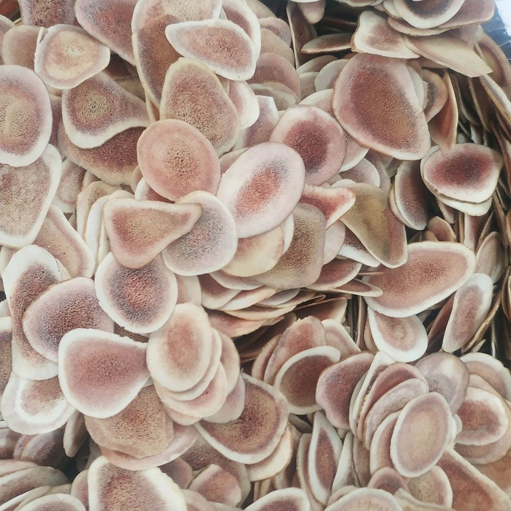 农家鹿茸片正品保证15克