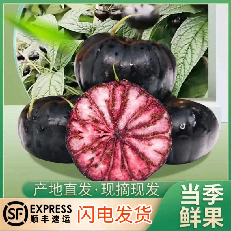 正宗云南高山红果参新鲜现摘当季稀有水果蜘蛛果顺丰到家