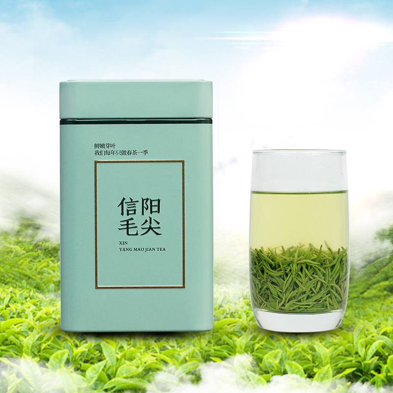 【雨前早期小芽】正宗信阳毛尖原产地核心区黑龙潭高山雨前小芽春茶