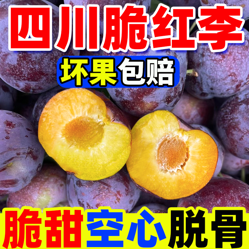 四川高山脆红李小脆红新鲜现摘应季水果黄肉脱骨脆甜多汁